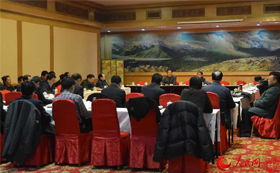 Group chairman crystal beads Tibetan Political Consultative Conference Li Na Swiss proposal